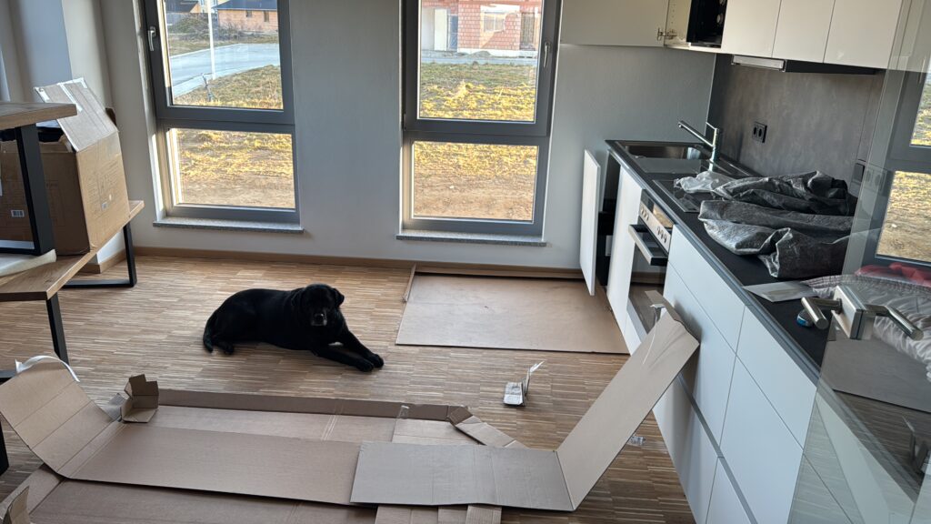 B7AAB7A9-1B9C-4F4A-BF90-5CB8E519FBC0